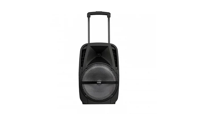 Автономная акустическая система TMG A18X (BT+2MIC+USB+SD)
