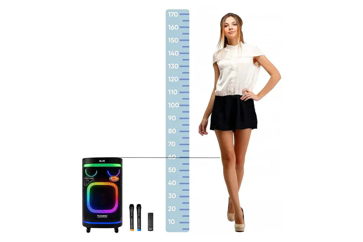 Автономная акустическая система TMG TMS-10291 (2MIC+USB+TF+FM+TWS)