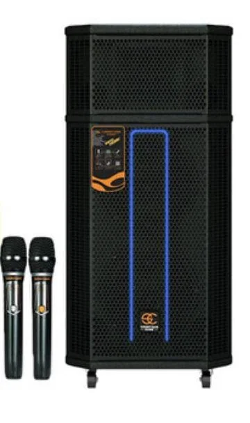 Переносная Bluetooth колонка Soontran SG30-208 с микрофонами и пультом 500 Вт 2х8"