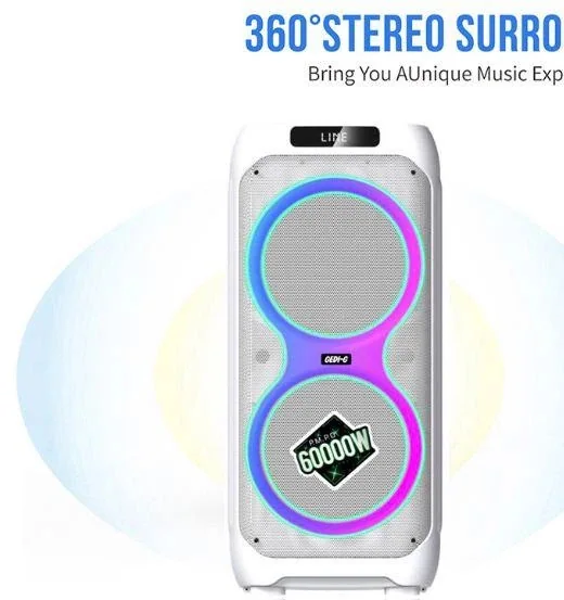 Акустическая переносная Bluetooth колонка LT-2231 с двумя радиомикрофонами 2*8" 60 Вт FM, USB, AUX, RGB