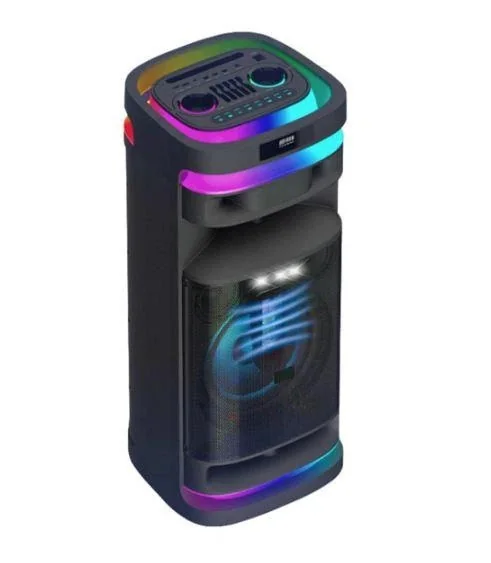 Переносная колонка Bluetooth Temeisheng 1028E-D12 с микрофонами и пультом 300 Вт 12" 2*4"