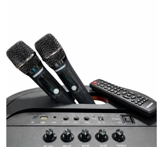 Переносная колонка Bluetooth Temeisheng 1221-A6 с микрофонами и пультом Портативная акустика 300 Вт 12"