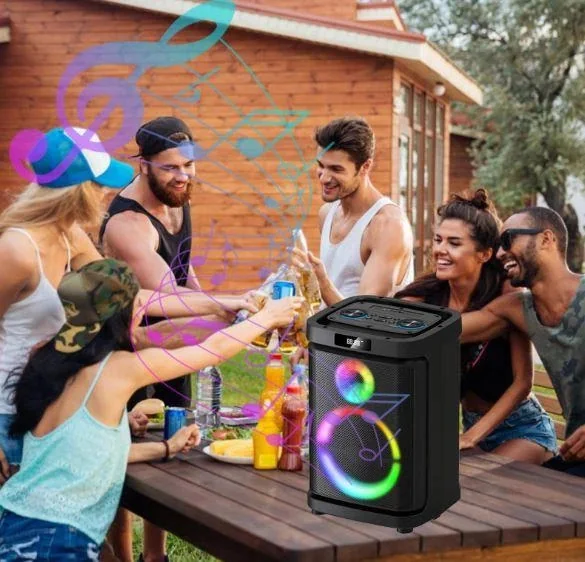 Акустическая переносная Bluetooth колонка Gedi-G GD-1019 с 2 радиомикрофонами 10" 30 Вт FM, USB, AUX, RGB