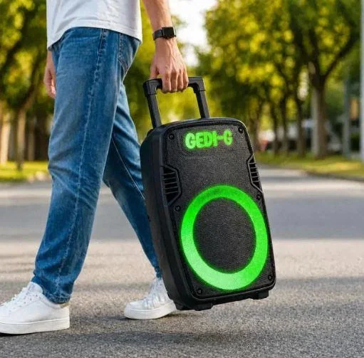 Акустическая переносная Bluetooth колонка Gedi-G GD-1219 с радиомикрофоном 12" 60 Вт FM, USB, AUX, RGB