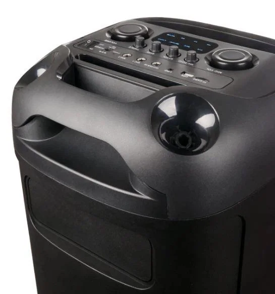 Акустическая переносная Bluetooth колонка Gedi-G GD-2891 с 2 радиомикрофонами 2*8" 100 Вт FM, USB, AUX, RGB
