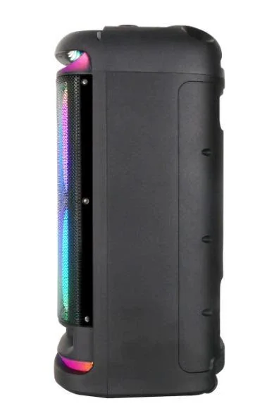 Акустическая переносная Bluetooth колонка Gedi-G GD-2891 с 2 радиомикрофонами 2*8" 100 Вт FM, USB, AUX, RGB