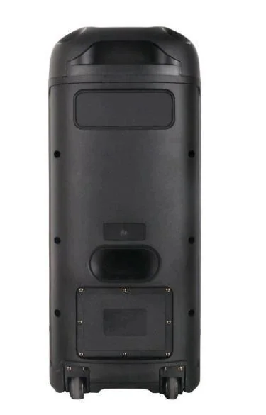 Акустическая переносная Bluetooth колонка Gedi-G GD-2891 с 2 радиомикрофонами 2*8" 100 Вт FM, USB, AUX, RGB