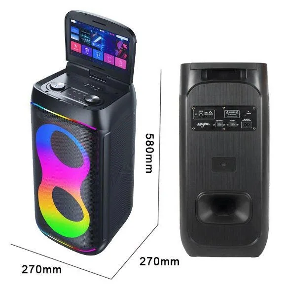 Акустическая переносная Bluetooth колонка Gedi-G GD-1066 с 2 радиомикрофонами и экраном Android 2*6.5" 50 Вт FM, USB, AUX, RGB